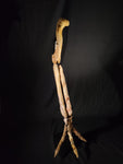 Ultra rare Spinosaurus Aegyptiacus complete leg with stand