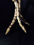 Ultra rare Spinosaurus Aegyptiacus complete leg with stand