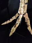 Ultra rare Spinosaurus Aegyptiacus complete leg with stand