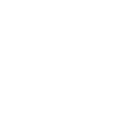 Paleolabfossils