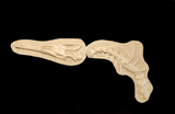 Perfectly preserved Gavialimimus almaghribensis Mosasaur skeleton 180cm