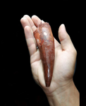 Premium grade Spinosaurus aegyptiacus Dinosaur tooth 14cm